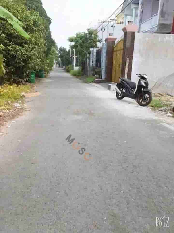 Image Image
