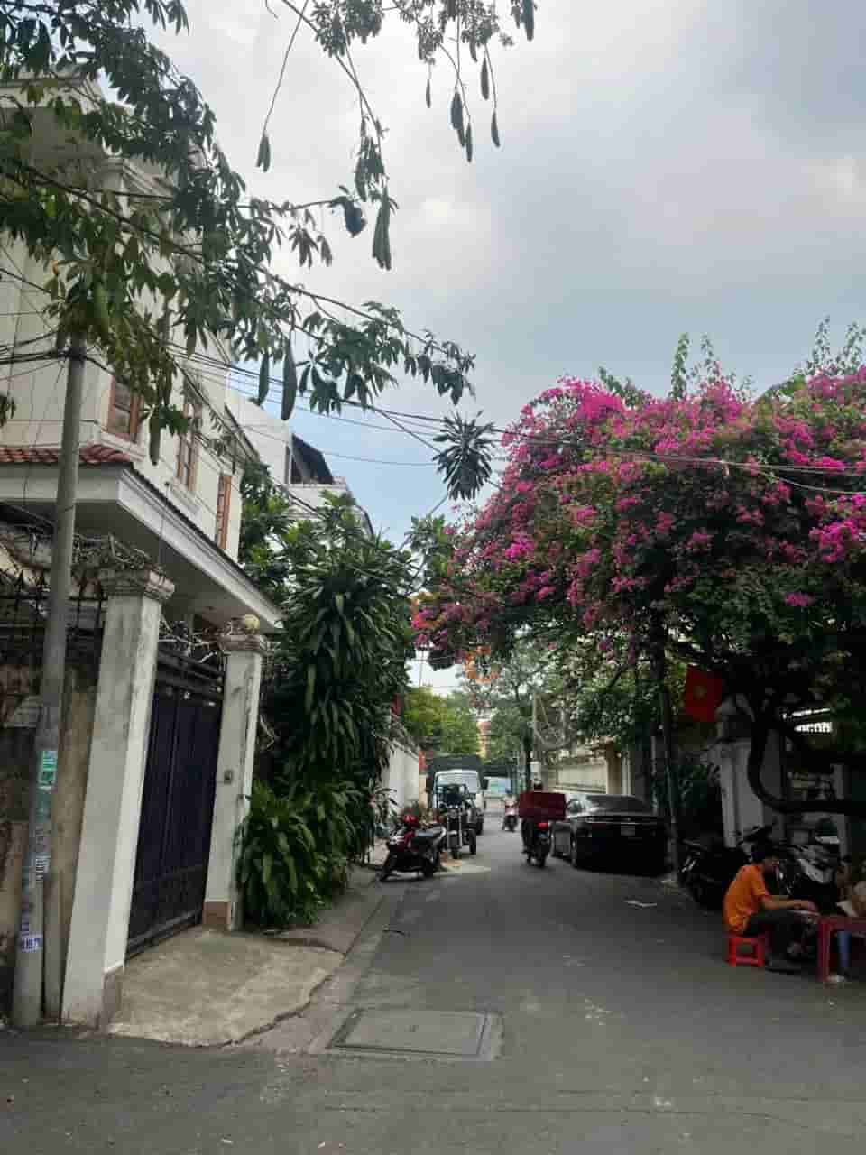 Image Image