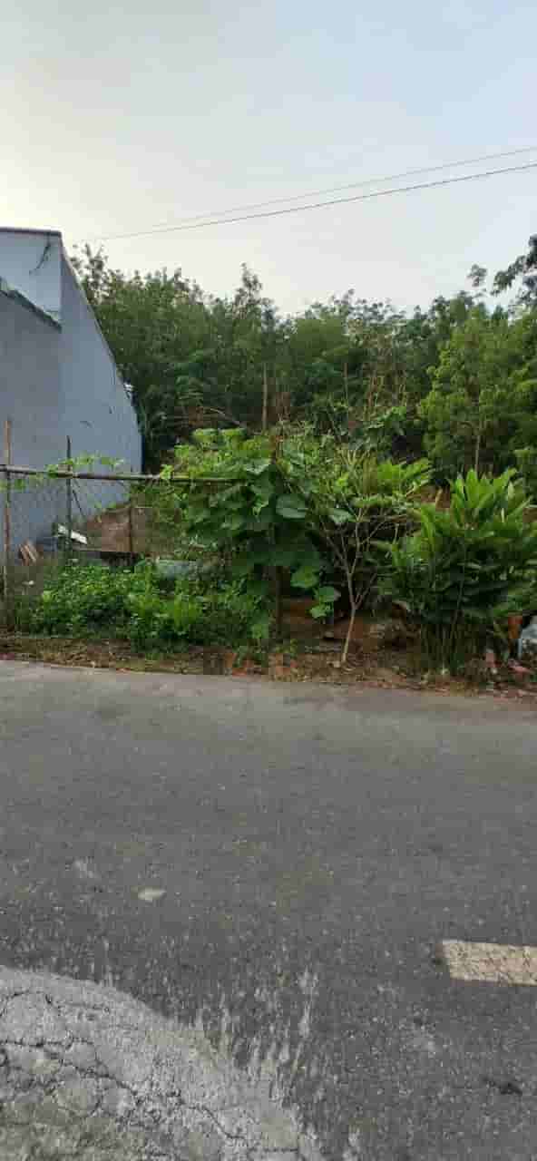 Image Image