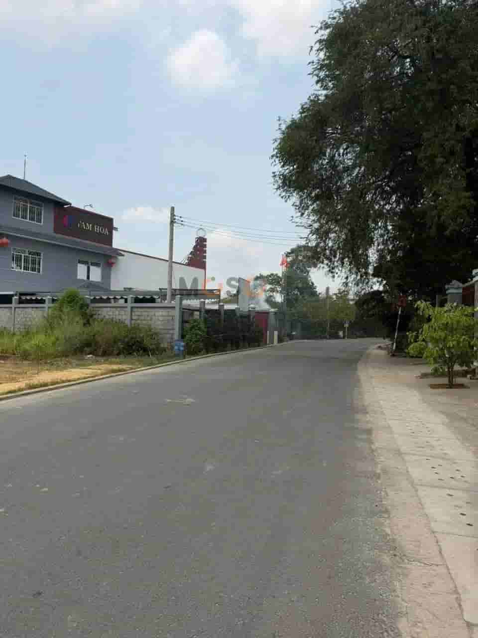 Image Image
