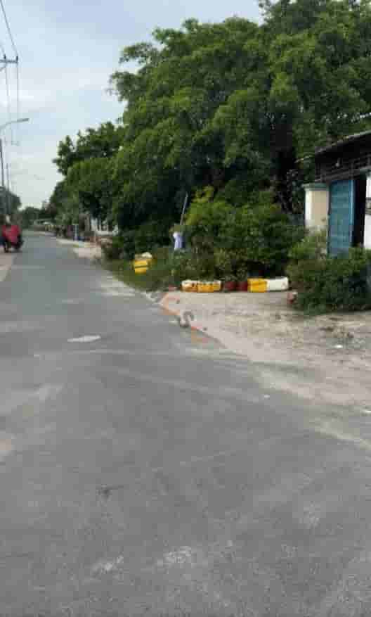 Image Image