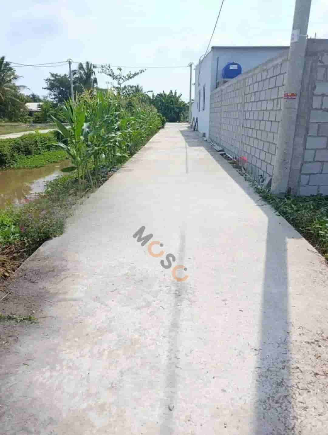 Image Image
