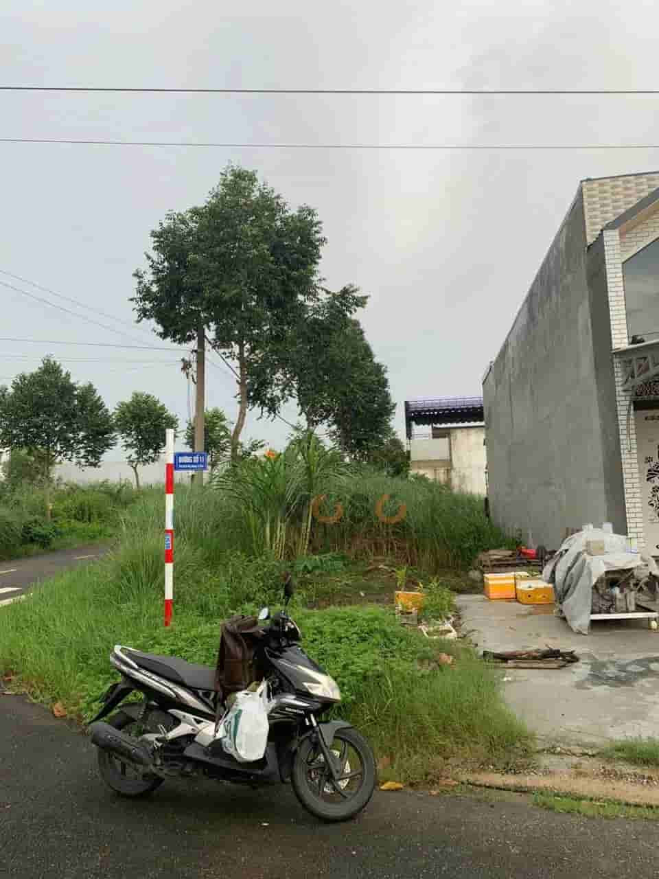 Image Image