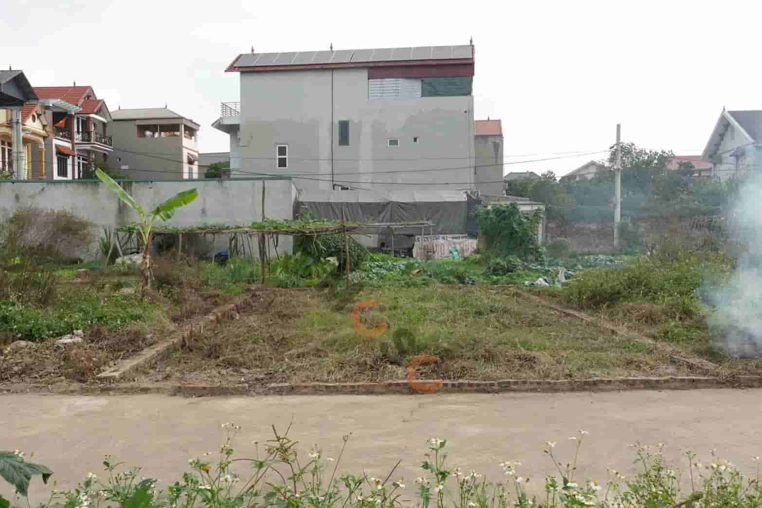 Image Image
