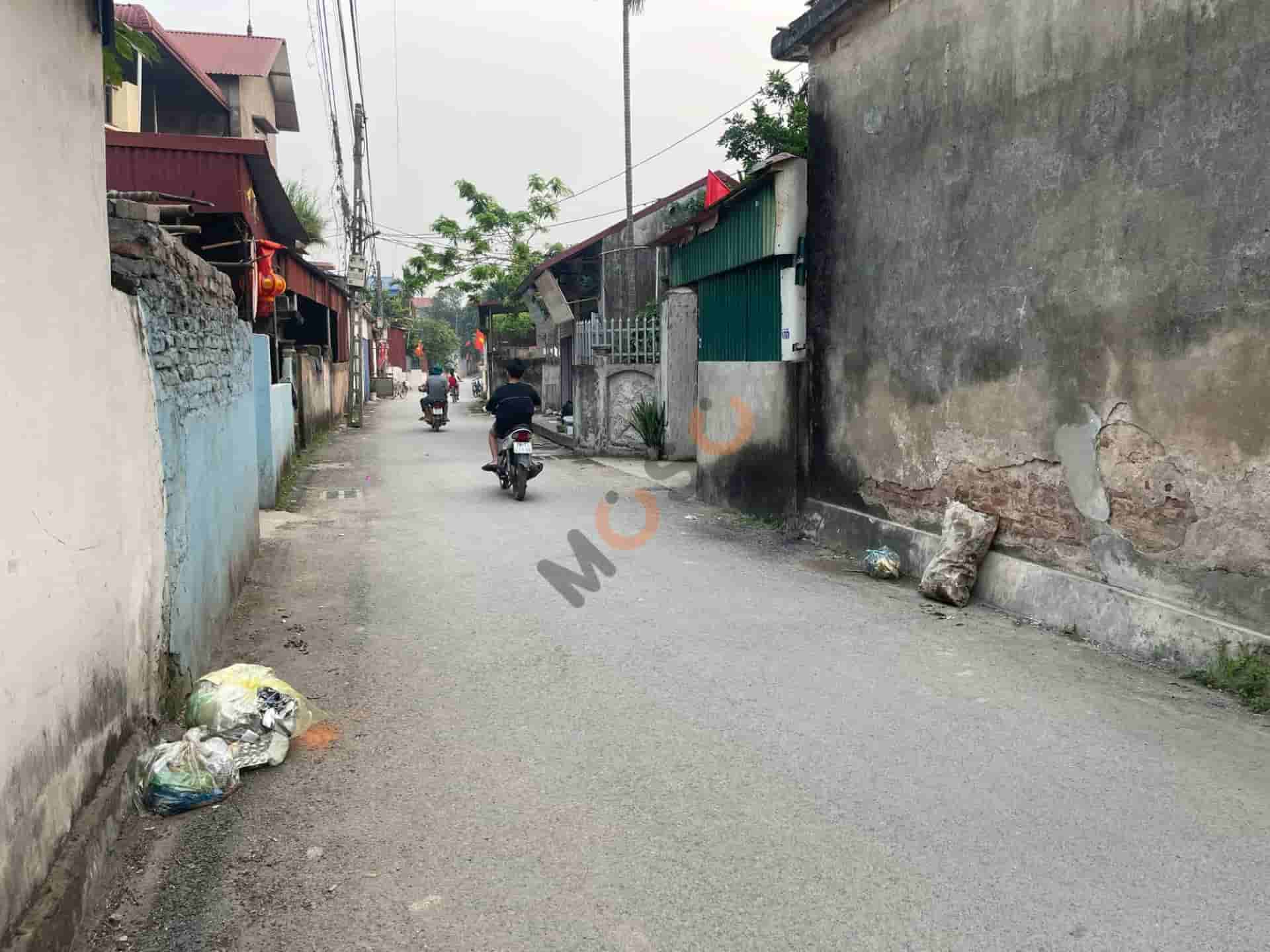 Image Image