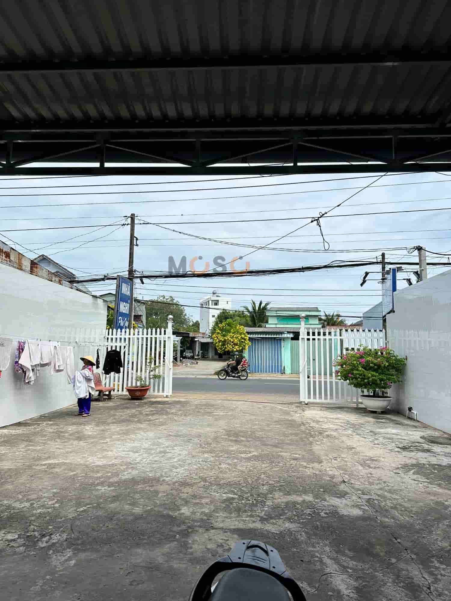 Image Image