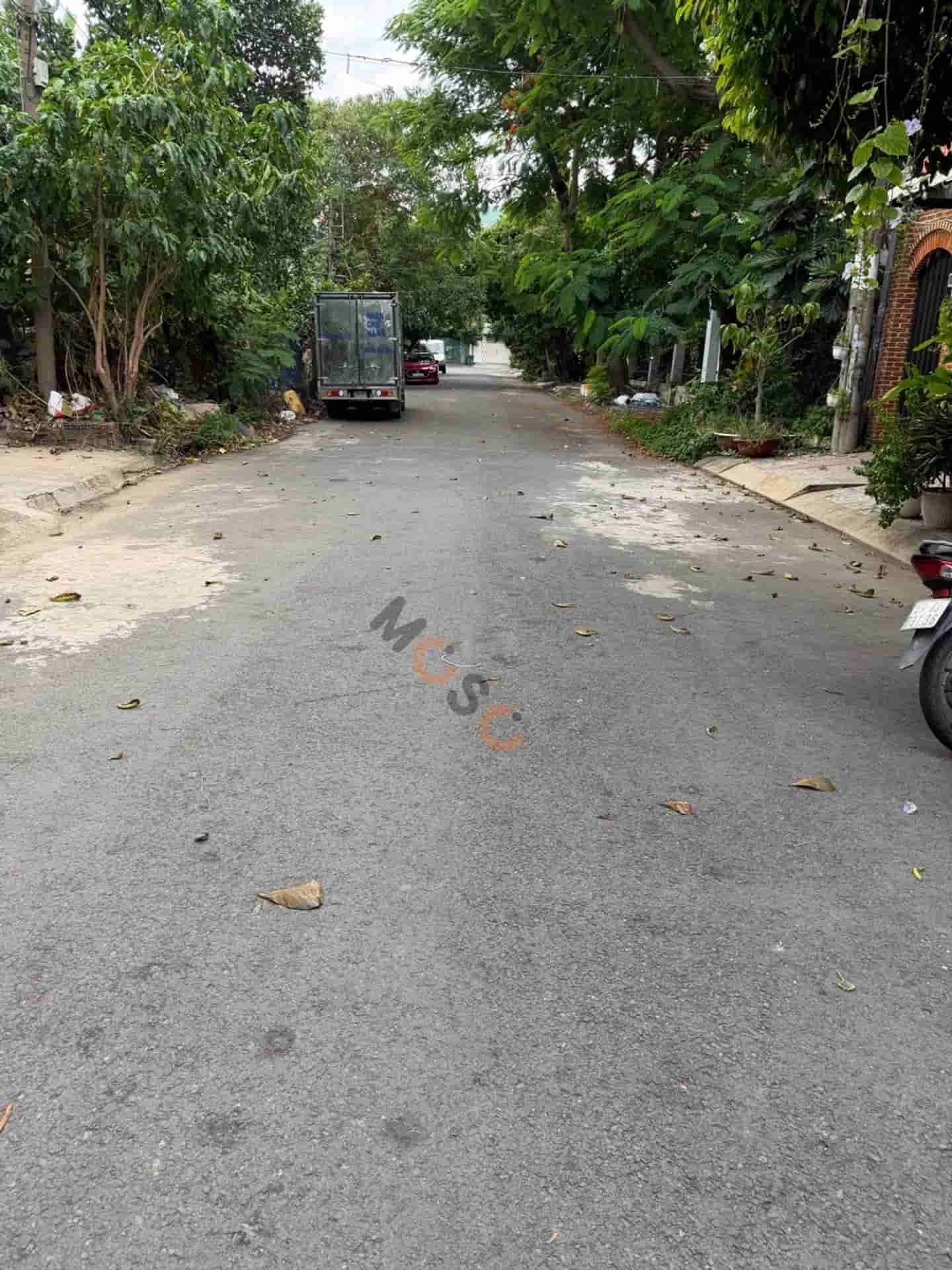 Image Image