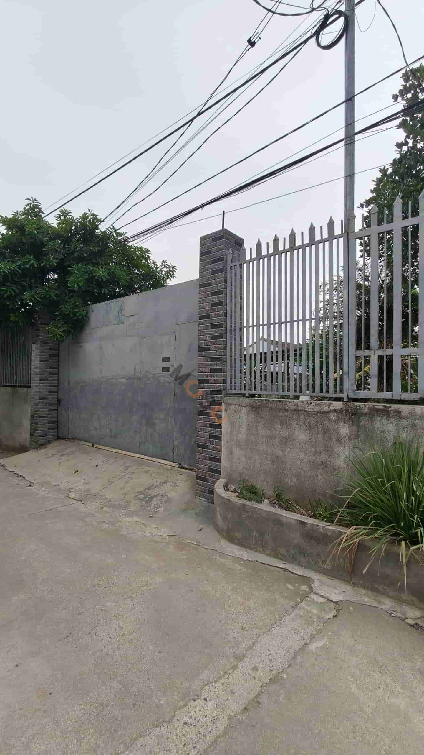 Image Image