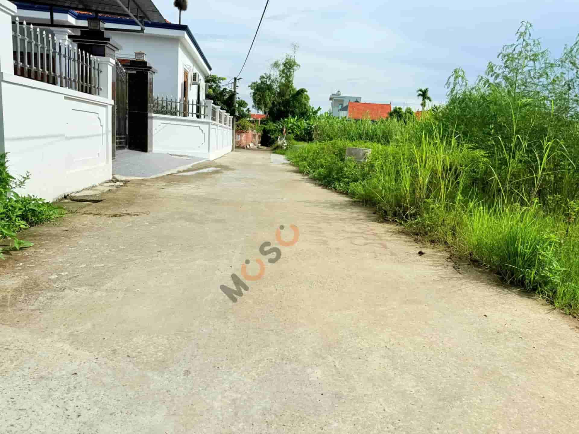 Image Image