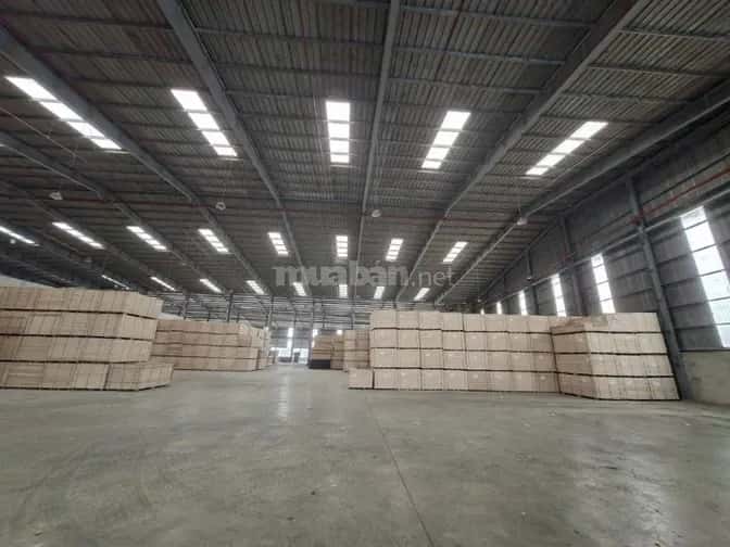 Cho thuê kho, nhà xưởng Đường Số 14 Thủ Đức, TP.HCM – giá 291 triệu