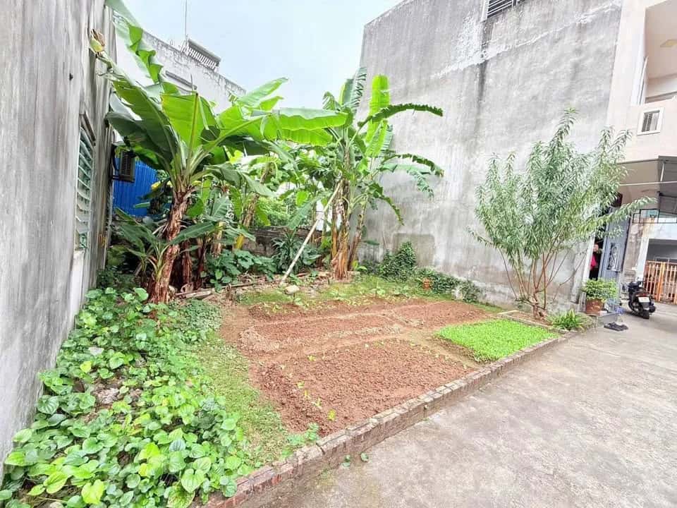 Bán đất Tống Duy Tân Thành phố Hải Dương, Hải Dương – giá 1.5 tỷ