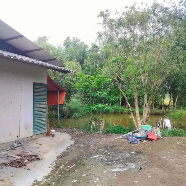 Cho thuê nhà hẻm Vườn Thơm Huyện Bình Chánh, TP.HCM – 1 phòng ngủ, giá 3 triệu Cho thuê nhà hẻm Vườn Thơm Huyện Bình Chánh, TP.HCM – 1 phòng ngủ, giá 3 triệu