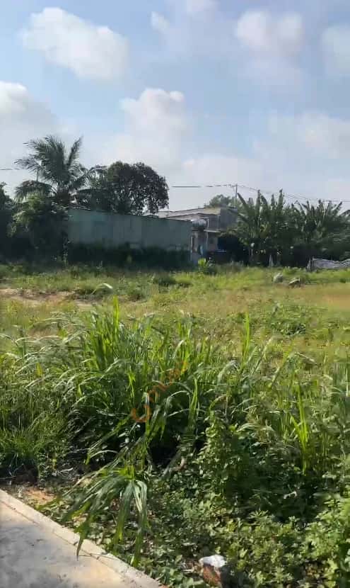 Bán đất đường Ấp 4 Huyện Hóc Môn, TP.HCM – 1 phòng ngủ, giá 3 tỷ — Hình 2