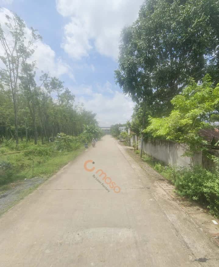Bán đất đường ấp 2a Huyện Củ Chi, TP.HCM – 1 phòng ngủ, giá 6.5 tỷ — Hình 3