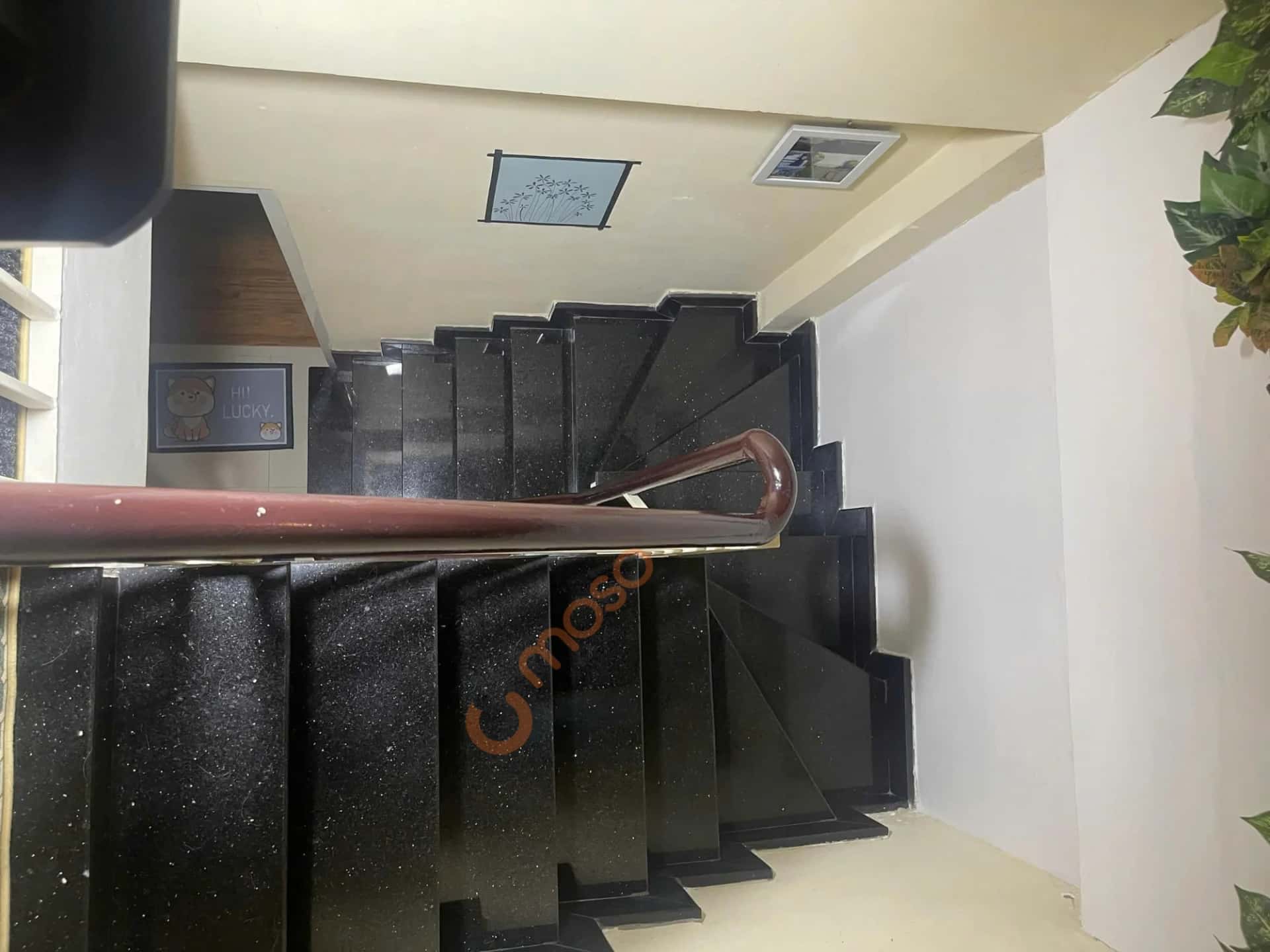 Bán nhà hẻm 383/3/67 Quang Trung Quận Gò Vấp, TP.HCM – 2 phòng ngủ, giá 5.3 tỷ — Hình 3