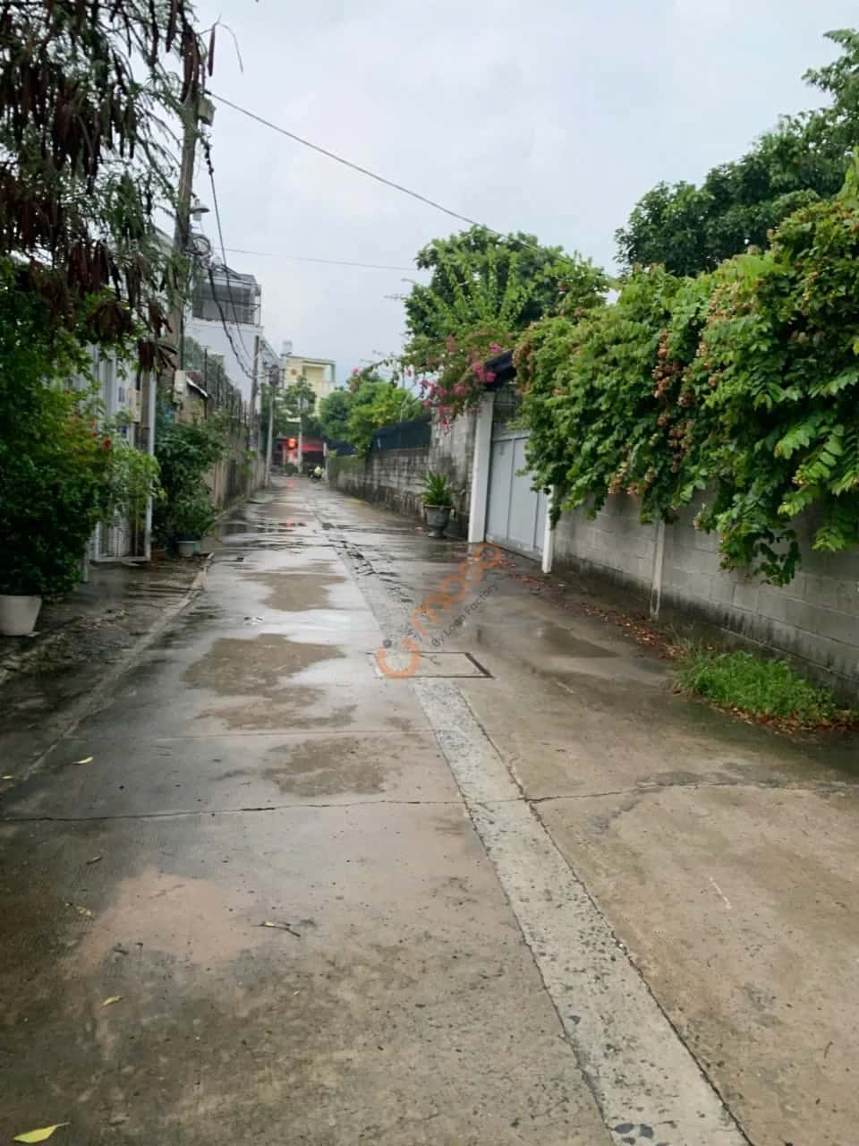 Hình ảnh nhà 3
