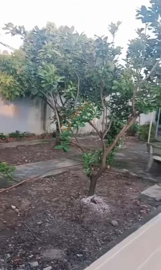 Hình ảnh nhà 2