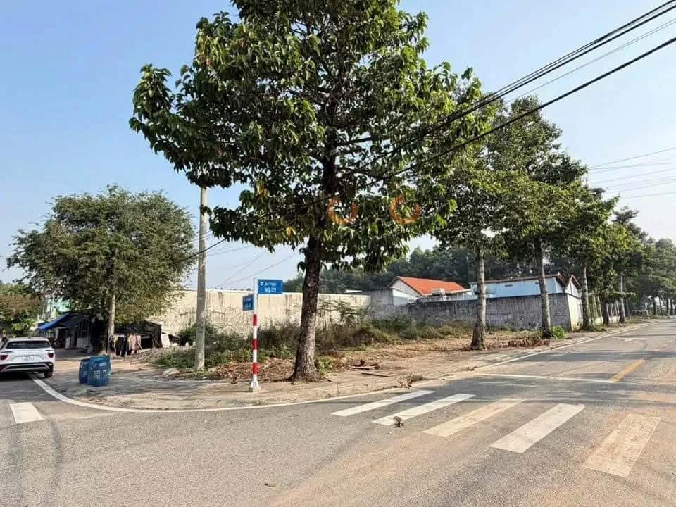 Bán đất Thửa 12 - tờ 126 đường số 40 Thành phố Thủ Dầu Một, Bình Dương – giá 7.1 tỷ — Hình 2