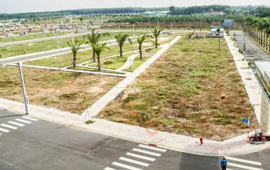 Bán đất Thửa 2137 - tờ 77 đường Đh 619 Huyện Bàu Bàng, Bình Dương – giá 700 triệu — Hình 2