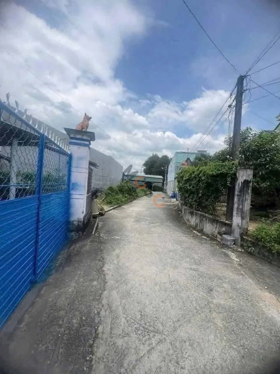 Hình ảnh nhà 3