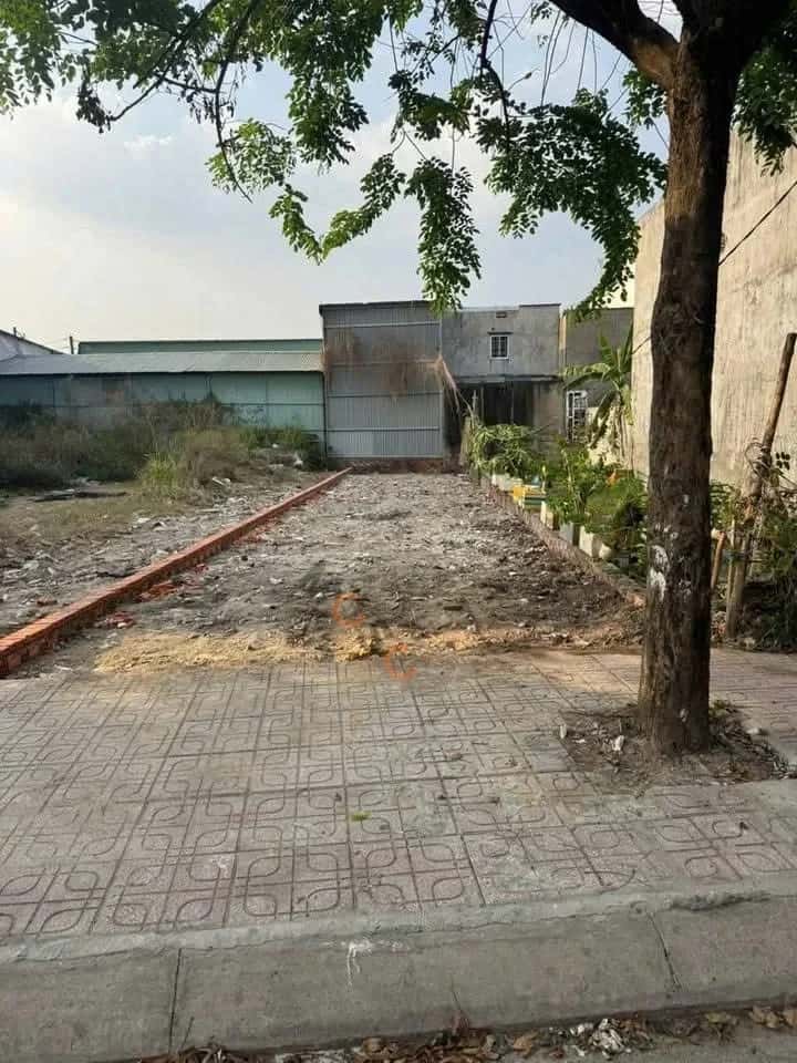 Bán đất Thửa 1287 - tờ 171 đường số 2, khu phố Hòa Lân 2 Thành phố Thuận An, Bình Dương – giá 4 tỷ — Hình 3