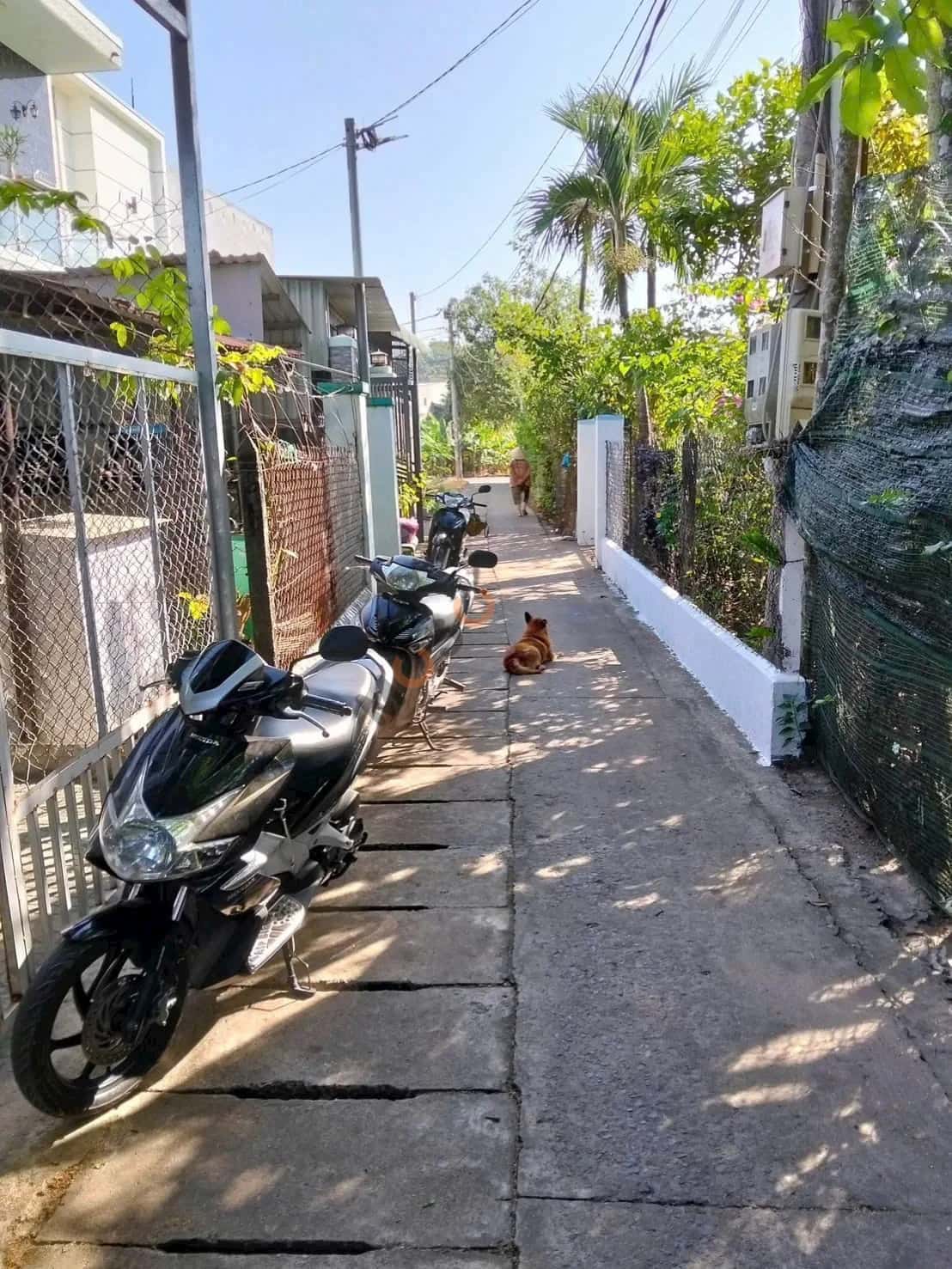 Bán đất Thửa 465 - Tờ 118, Đường Lò Lu Thành phố Thủ Dầu Một, Bình Dương – giá 1.5 tỷ — Hình 3