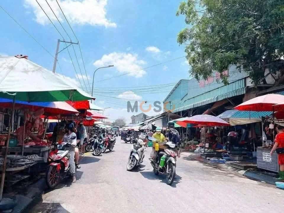 Bán đất Thửa 1401 - tờ 953 đường D10, KDC Thuận Giao Thành phố Thuận An, Bình Dương – giá 7 tỷ — Hình 3