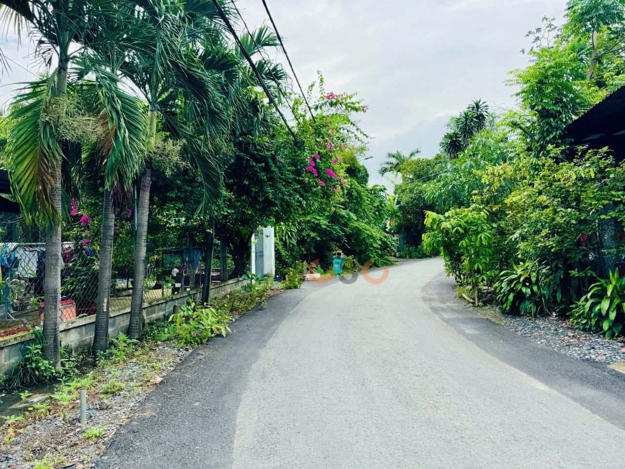 Bán đất Thửa 664 - Tờ 10, Đường Đặng Thị Dợt Huyện Củ Chi, TP.HCM – giá 3.7 tỷ — Hình 3 Bán đất Thửa 664 - Tờ 10, Đường Đặng Thị Dợt Huyện Củ Chi, TP.HCM – giá 3.7 tỷ — Hình 3