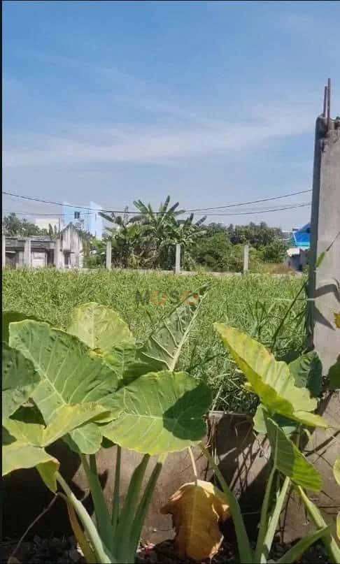 Hình ảnh nhà 3