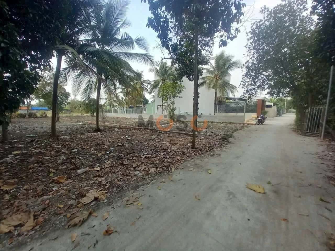 Hình ảnh nhà 3
