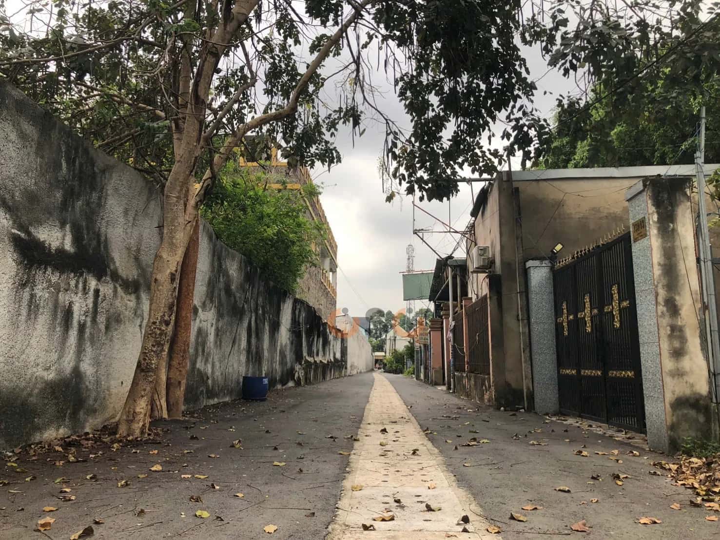 Bán đất Thửa 69 - Tờ 32, đường Lê Chí Dân Thành phố Thủ Dầu Một, Bình Dương – giá 2.6 tỷ — Hình 2