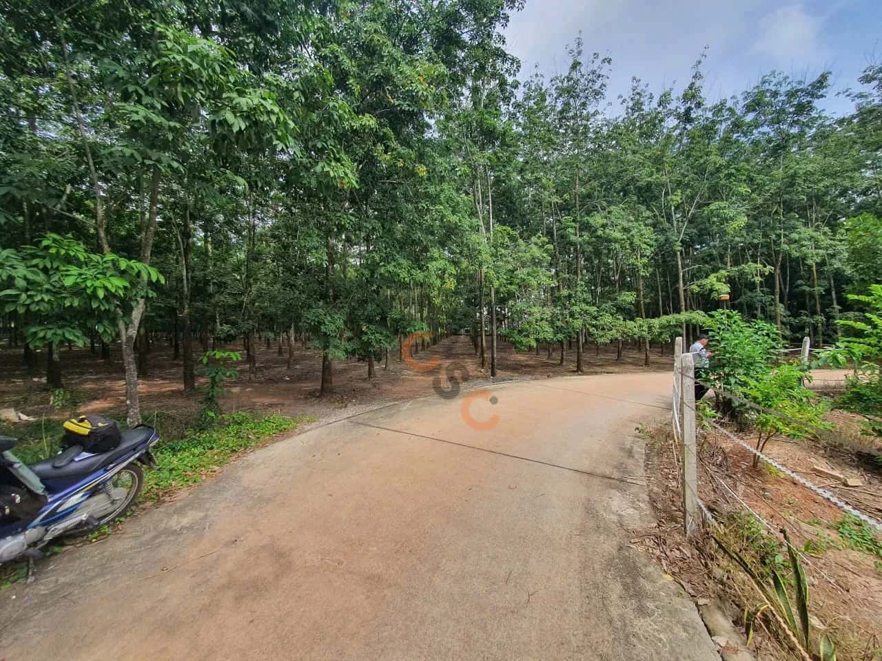Bán đất Thửa 140 - Tờ 5, đường Phú Chánh 35 Thành phố Tân Uyên, Bình Dương – giá 10 tỷ — Hình 3