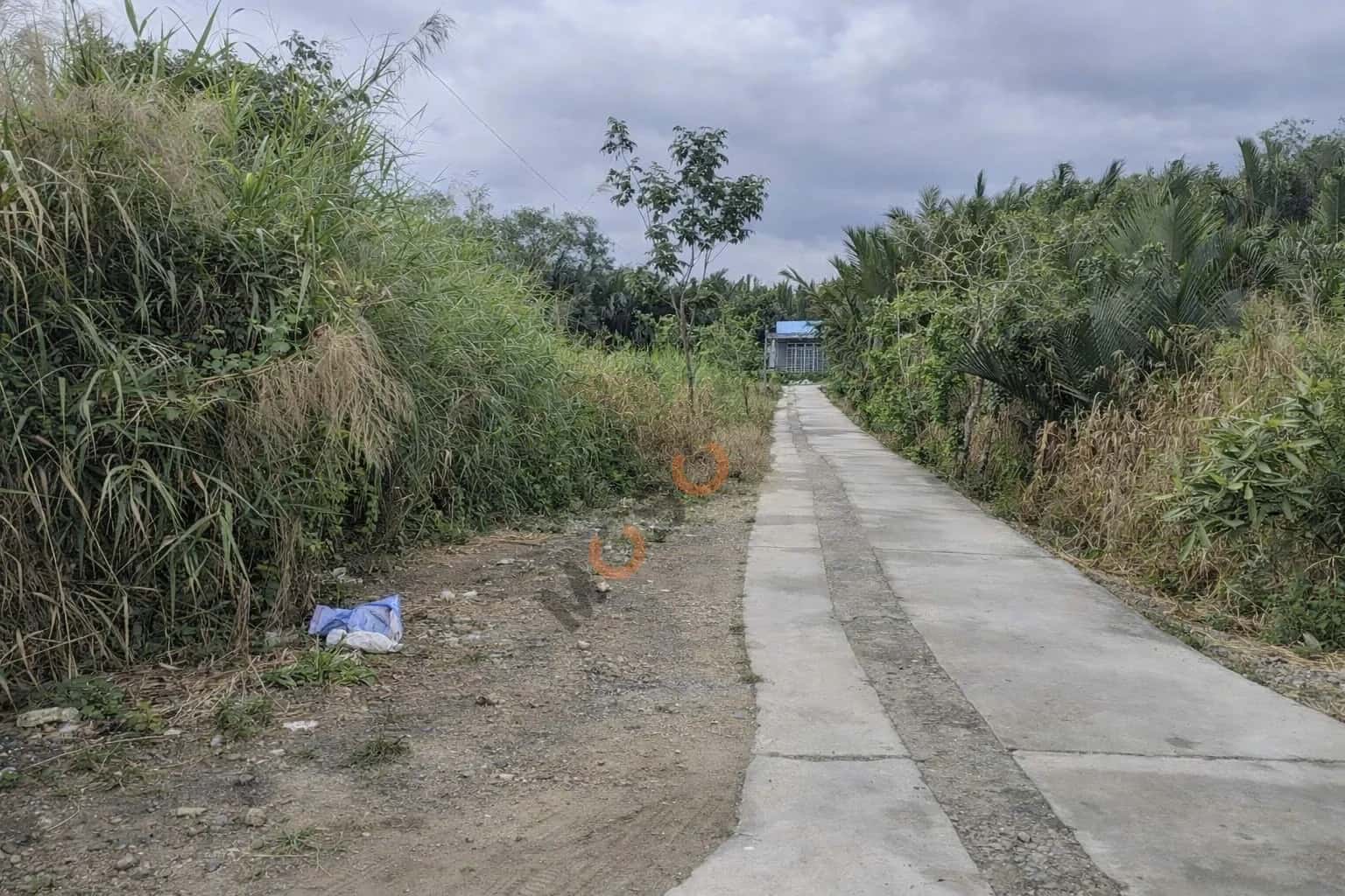 Bán đất Thửa 590 - tờ 50 Tổ 5, đường liên ấp 4-5 Huyện Bình Chánh, TP.HCM – giá 2 tỷ — Hình 3