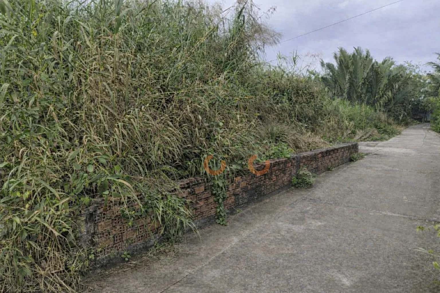 Bán đất Thửa 590 - tờ 50 Tổ 5, đường liên ấp 4-5 Huyện Bình Chánh, TP.HCM – giá 2 tỷ — Hình 2