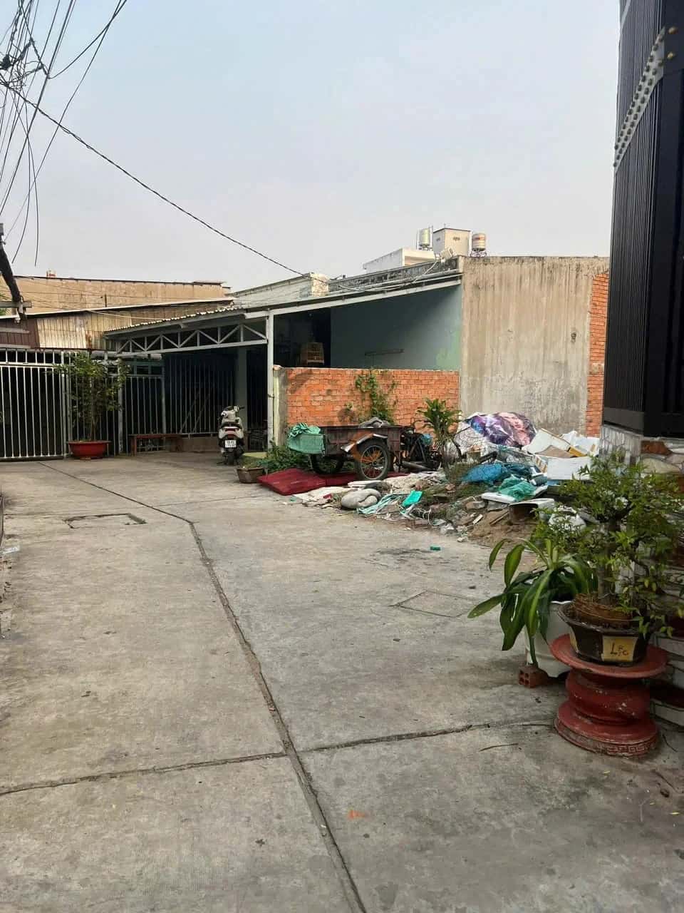 Bán đất Thửa 39 - Tờ 16, kế 541/1/4 Tỉnh lộ 10 Quận Bình Tân, TP.HCM – giá 6.5 tỷ — Hình 2
