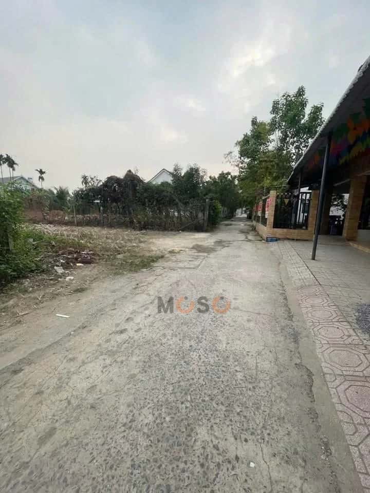Bán đất Thửa 806 - tờ 3 đường Bình Nhâm 39, khu phố Bình Hòa Thành phố Thuận An, Bình Dương – giá 3.6 tỷ — Hình 3