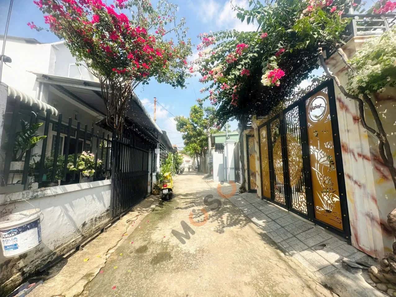 Bán đất Thửa 242 - Tờ 11, đường ĐX94 Thành phố Thủ Dầu Một, Bình Dương – giá 2 tỷ — Hình 3