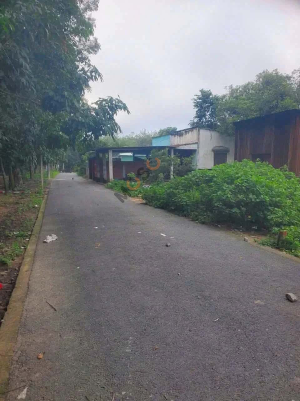 Bán đất Thửa 2943 - Tờ 9, đường 7B Thành phố Bến Cát, Bình Dương – giá 1.3 tỷ — Hình 3