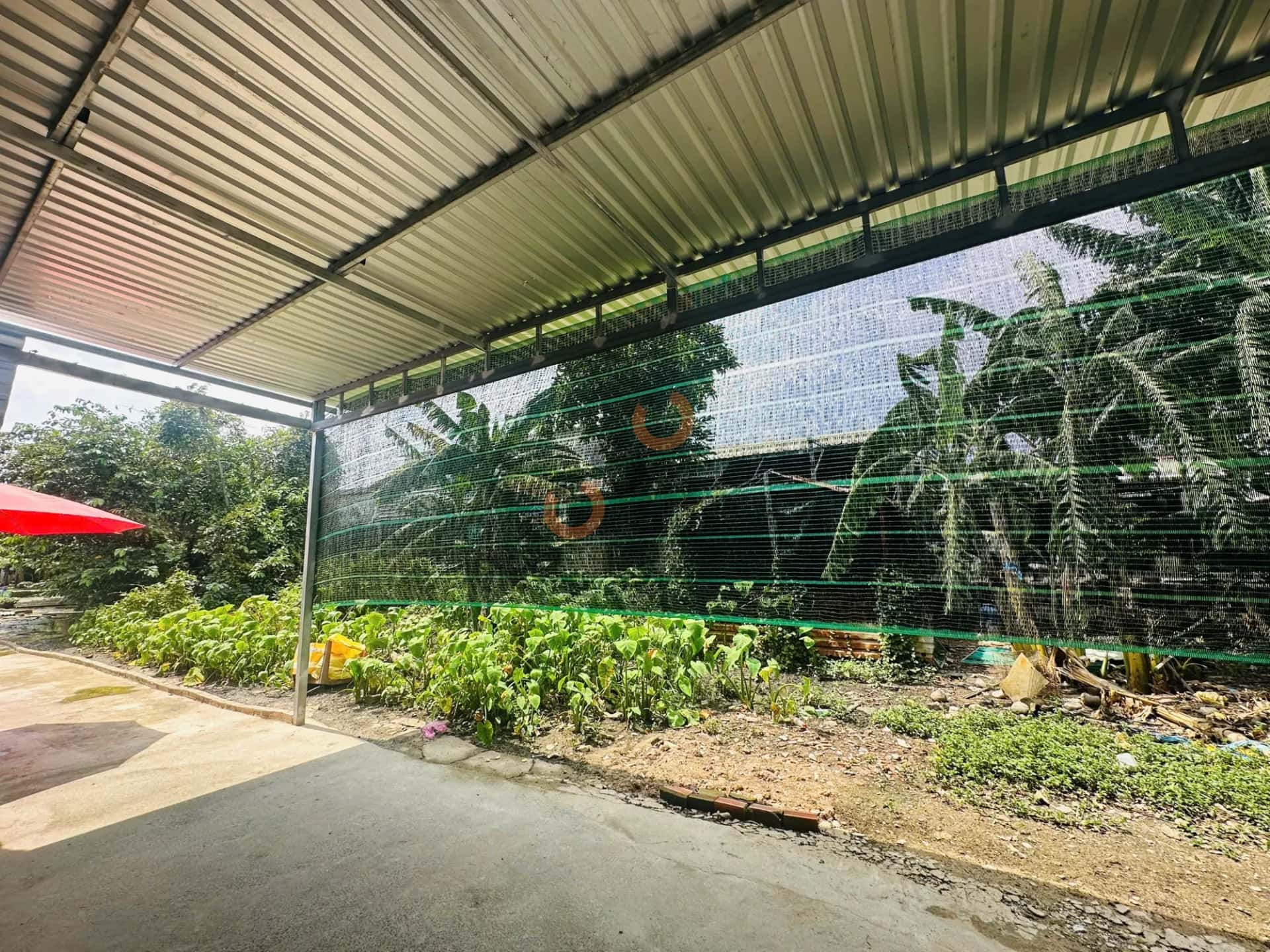 Bán đất Thửa 799, tờ bản đồ số 3 đường Xuân Thới Sơn 12 Huyện Hóc Môn, TP.HCM – giá 4.2 tỷ — Hình 2
