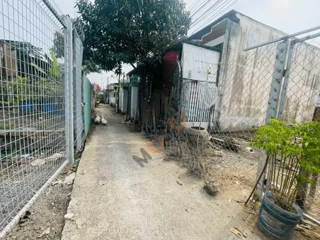 Bán đất hẻm đường Dương Đình Cúc Huyện Bình Chánh, TP.HCM – giá 2.8 tỷ — Hình 3 Bán đất hẻm đường Dương Đình Cúc Huyện Bình Chánh, TP.HCM – giá 2.8 tỷ — Hình 3
