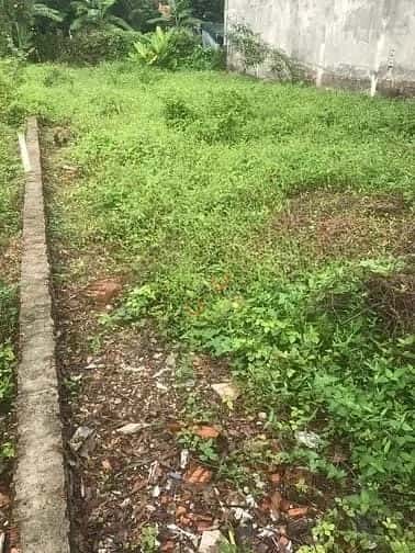Bán đất Linh Đông Thành phố Thủ Đức, TP.HCM – giá 22.6 tỷ — Hình 3