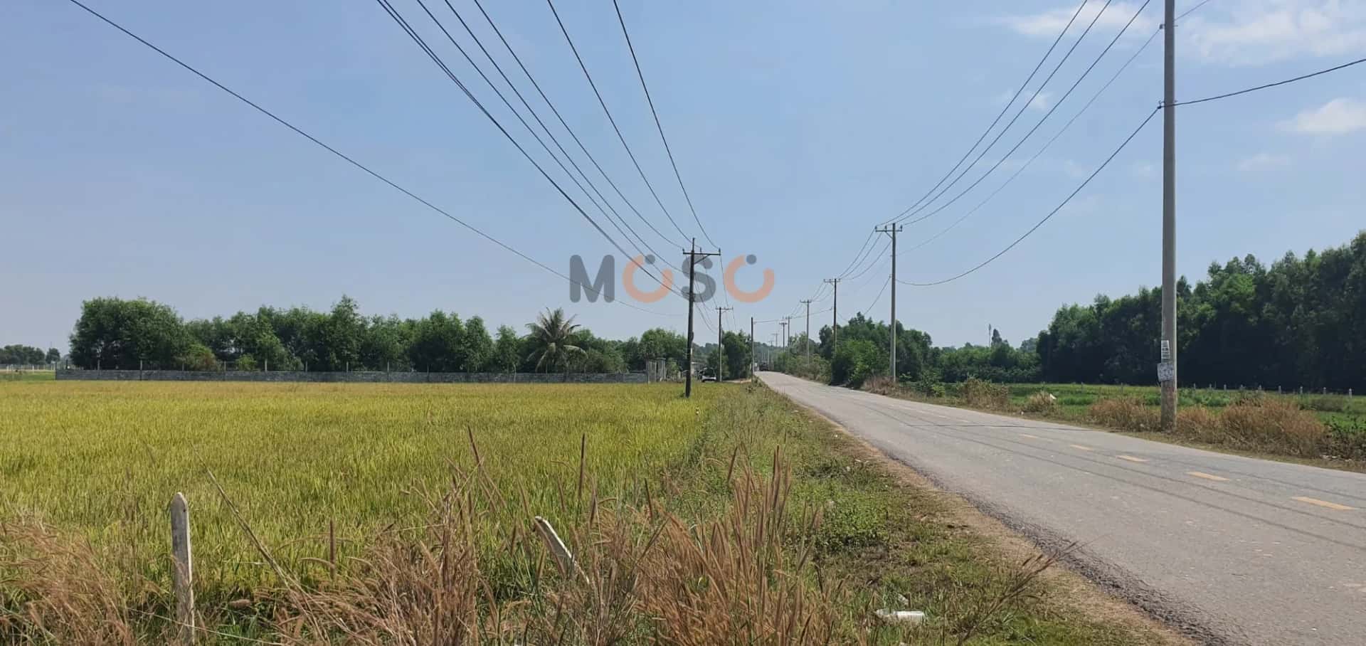 Bán đất đường Tỉnh Lộ 7 Huyện Củ Chi, TP.HCM – giá 2.9 tỷ — Hình 2