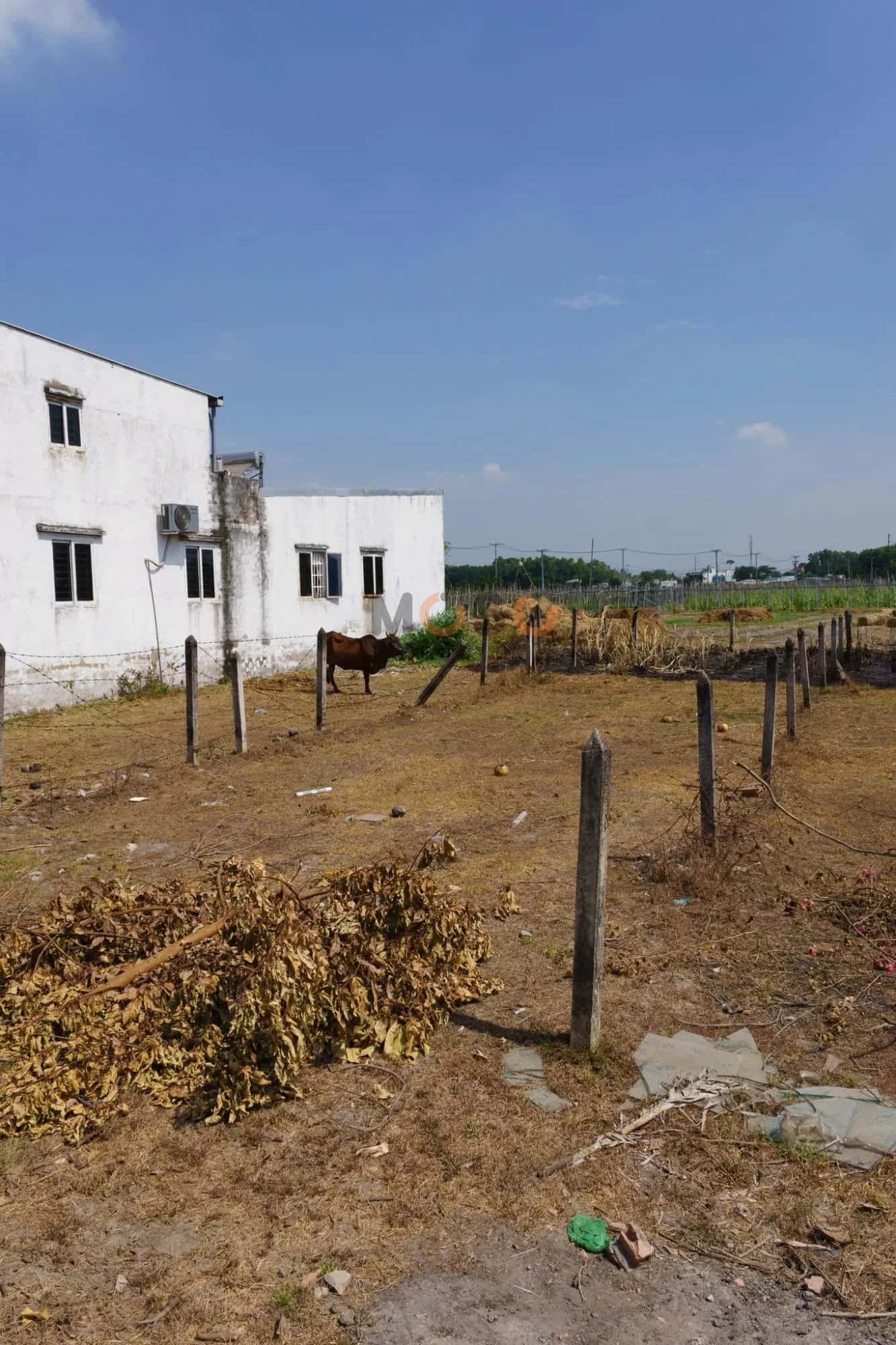 Hình ảnh nhà 3