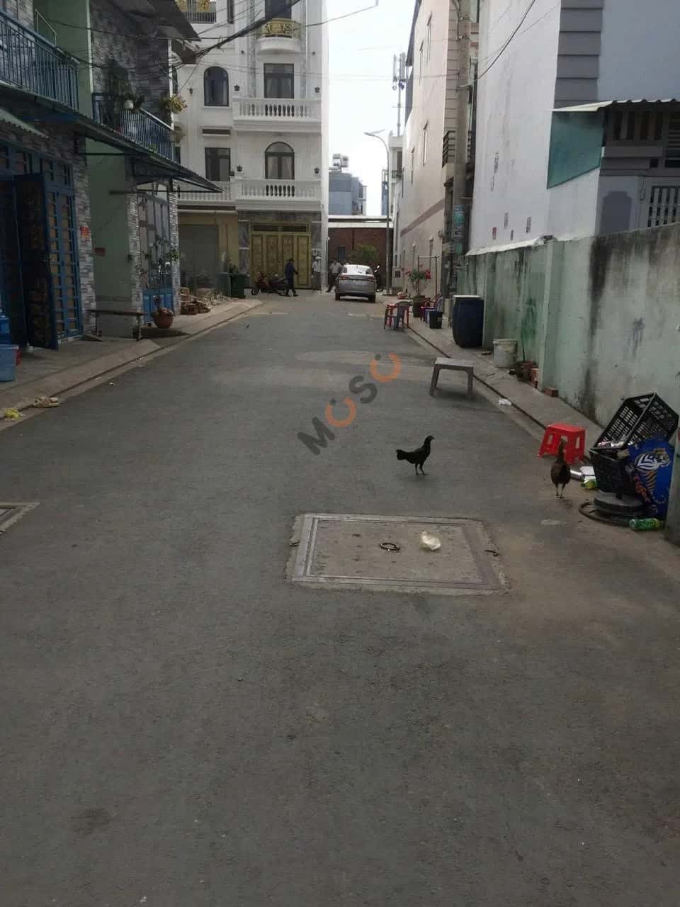 Bán nhà hẻm Phạm Đăng Giảng Quận Bình Tân, TP.HCM – 3 phòng ngủ, giá 5 tỷ — Hình 2 Bán nhà hẻm Phạm Đăng Giảng Quận Bình Tân, TP.HCM – 3 phòng ngủ, giá 5 tỷ — Hình 2