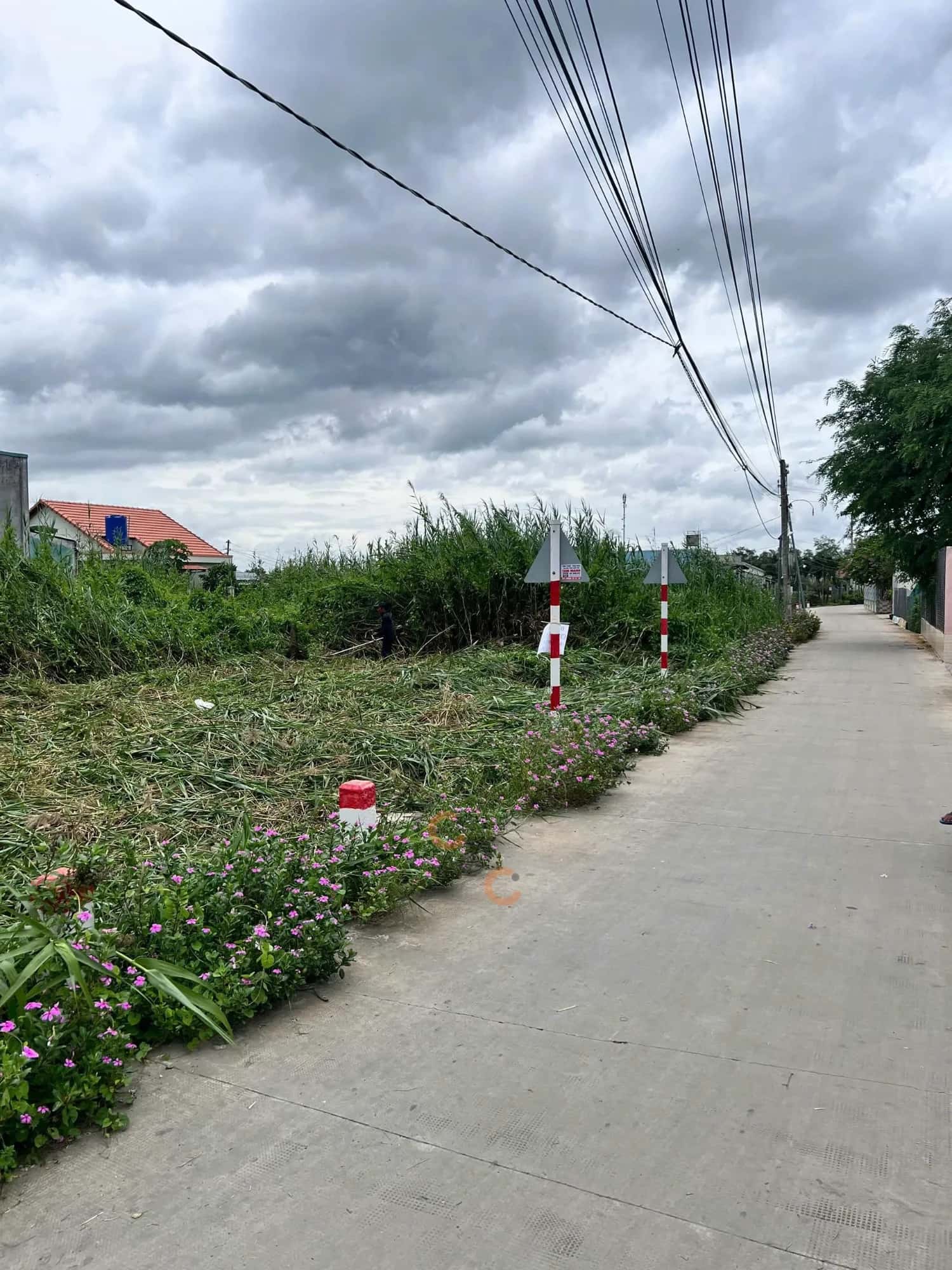 Hình ảnh nhà 3