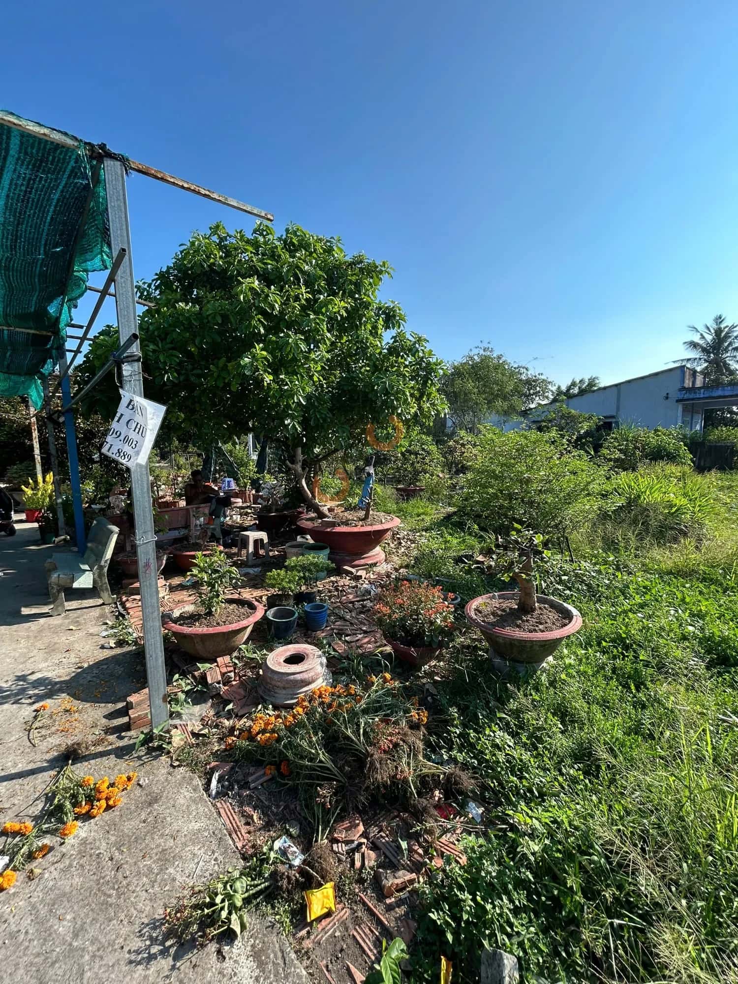Hình ảnh nhà 2