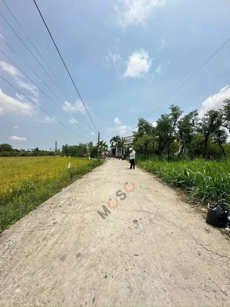 Bán đất Thửa 538 - Tờ 20 Đường Xóm Dinh Huyện Gò Công Đông, Tiền Giang – giá 400 triệu — Hình 2 Bán đất Thửa 538 - Tờ 20 Đường Xóm Dinh Huyện Gò Công Đông, Tiền Giang – giá 400 triệu — Hình 2