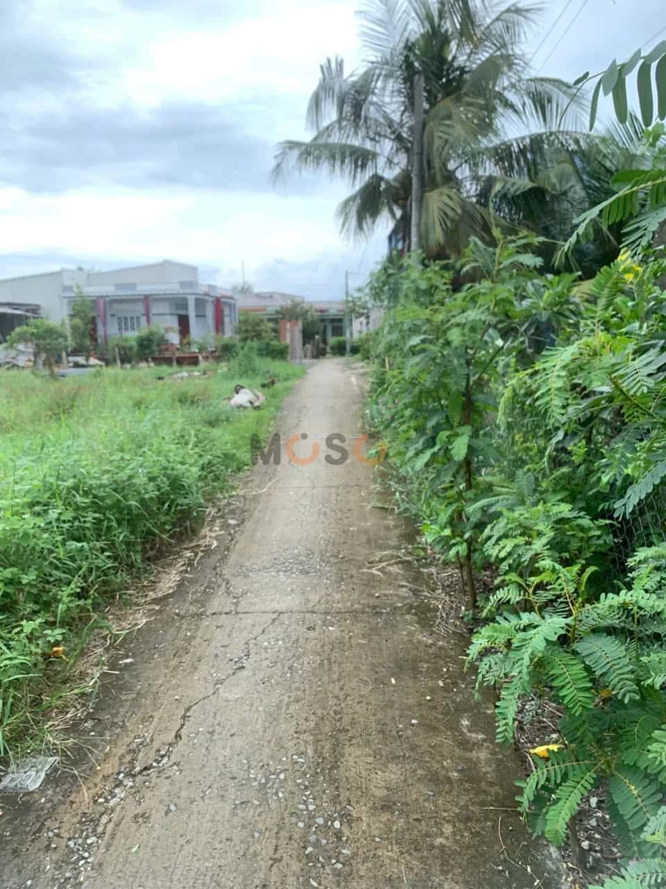 Bán đất Thửa 842 - Tờ 18, ấp 2 Thành phố Gò Công, Tiền Giang – giá 600 triệu — Hình 3 Bán đất Thửa 842 - Tờ 18, ấp 2 Thành phố Gò Công, Tiền Giang – giá 600 triệu — Hình 3