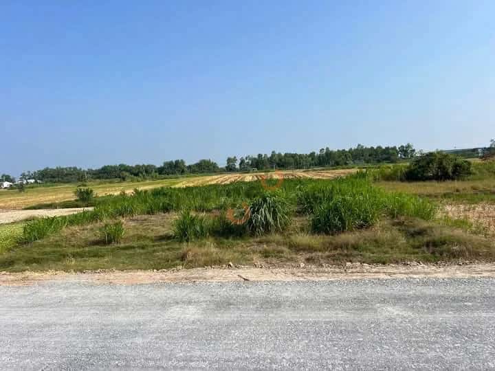 Bán đất Thửa 517 - Tờ 39 ấp Thanh Nhung 1 Huyện Gò Công Đông, Tiền Giang – giá 550 triệu — Hình 2 Bán đất Thửa 517 - Tờ 39 ấp Thanh Nhung 1 Huyện Gò Công Đông, Tiền Giang – giá 550 triệu — Hình 2