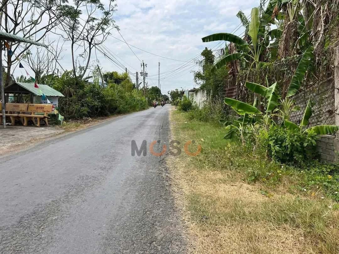 Bán đất Thửa 275 - Tờ 112 Đường Liên ấp Xóm Gò - Trại Ngang - Giồng Tân Huyện Gò Công Đông, Tiền Giang – giá 529 triệu — Hình 3 Bán đất Thửa 275 - Tờ 112 Đường Liên ấp Xóm Gò - Trại Ngang - Giồng Tân Huyện Gò Công Đông, Tiền Giang – giá 529 triệu — Hình 3
